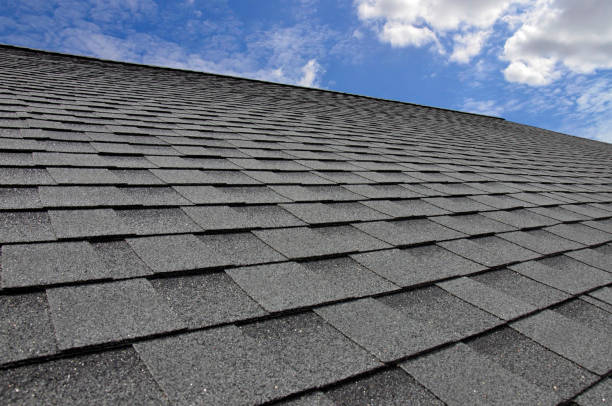 Best Roof Maintenance and Cleaning  in Lynbrook, NY